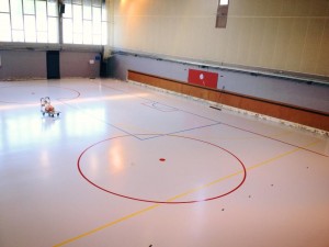 Et voici les lignes : bleu pour le rink